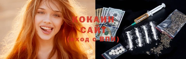 сатива Богородицк