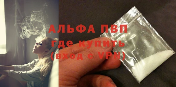 сатива Богородицк