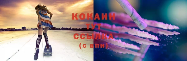 сатива Богородицк