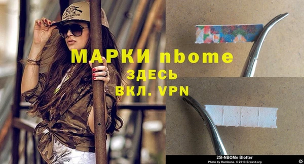 сатива Богородицк