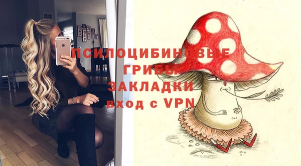 герыч Богородск