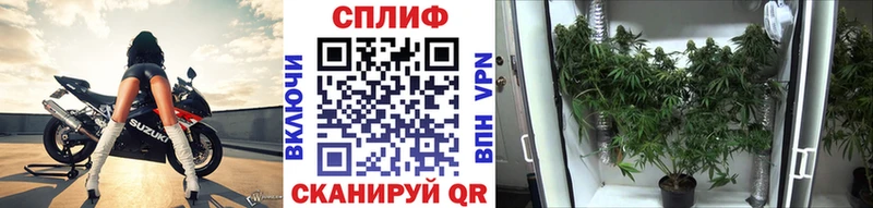 Купить закладки  Мантурово  Бошки марихуана планчик 